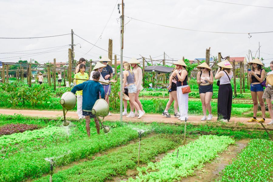 Vietnam regional learning