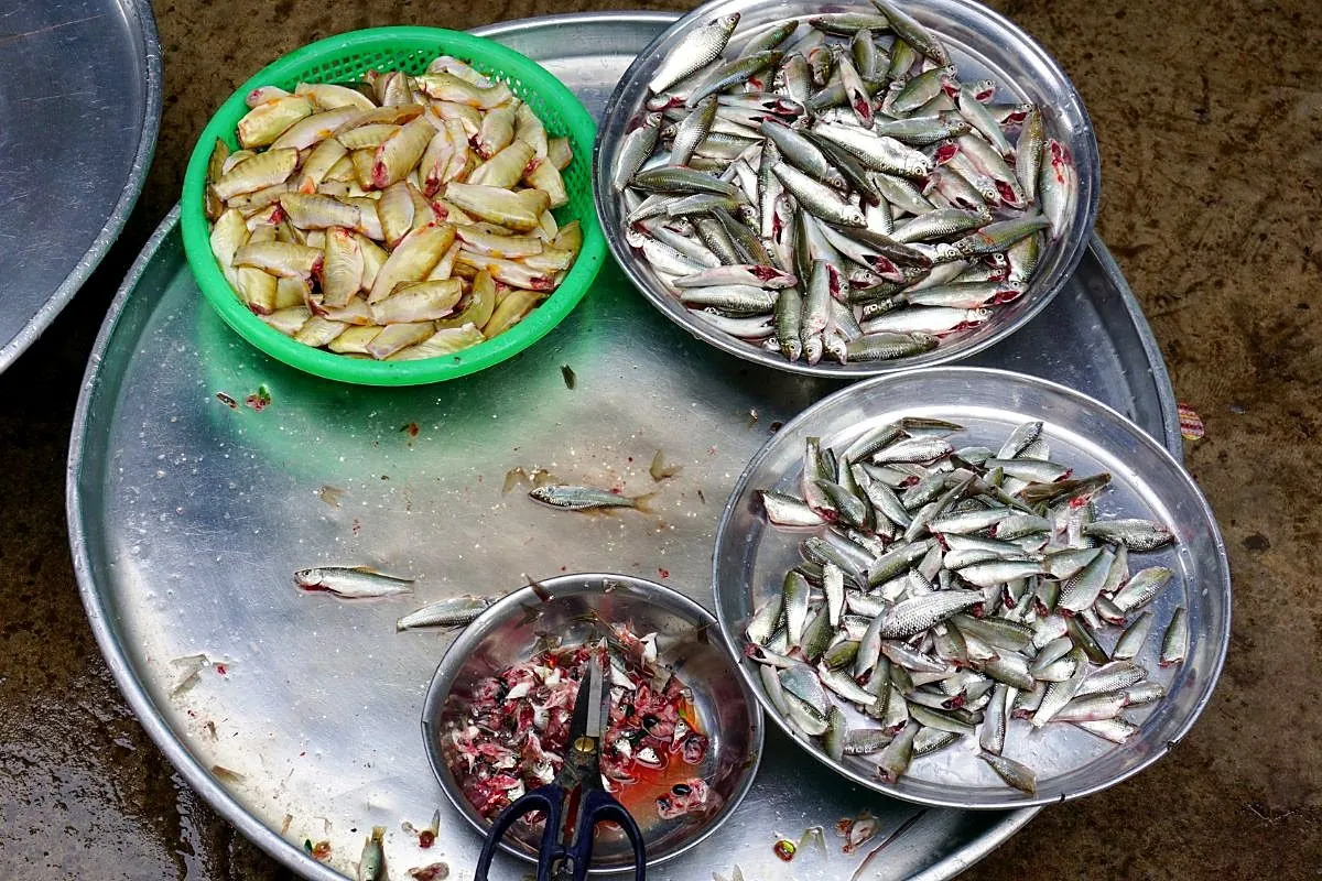 Fresh seafood displayed at a Mekong Delta market