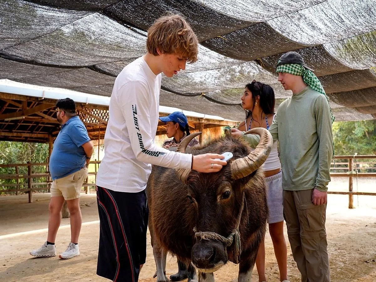 Students feeding a water buffalo during a rural visit in Laos